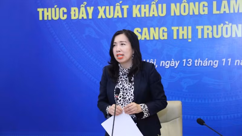 thu-truong-ngoai-giao-le-thi-thu-hang-2-3046.jpg