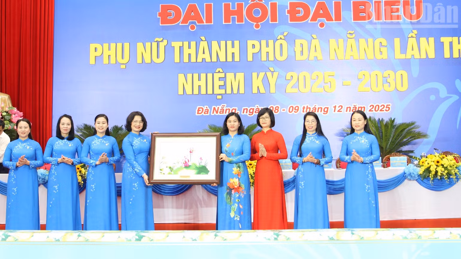 ndo_tr_dh-pn3.jpg