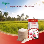 Gạo Hapro Đồng Tháp2010