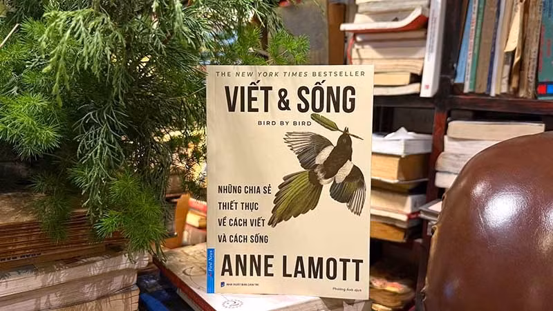 viet-va-song-1.jpg
