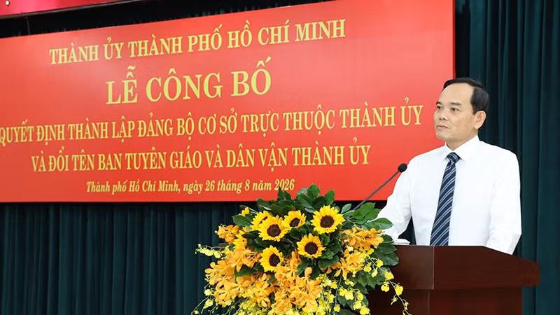 bt-tlq.jpg