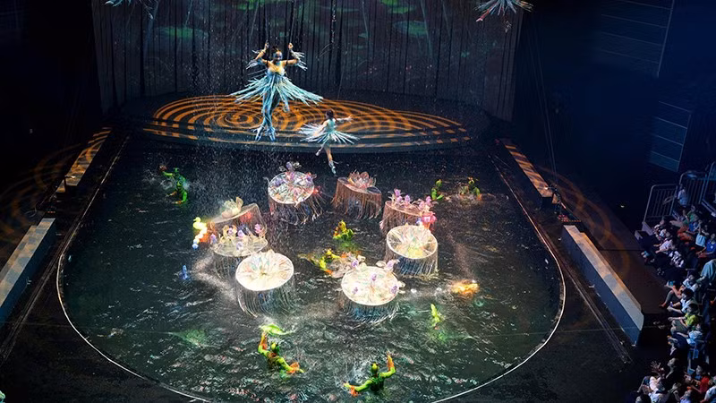 z7930343255430-d7297e338b84bce5015e754505d84d42.jpg