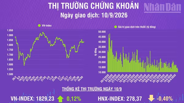[Infographic] Chứng khoán ngày 10/9: VN-Index tăng nhẹ 2,11 điểm, thanh khoản thị trường giảm