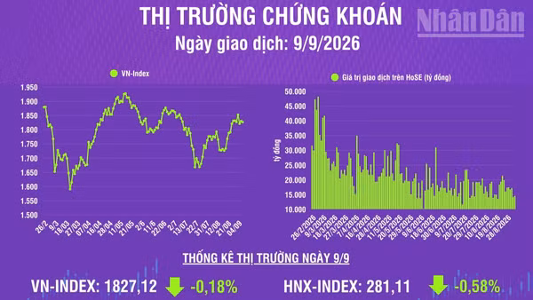 [Infographic] Chứng khoán ngày 9/9: VN-Index giảm 3,32 điểm về mức 1.827,12 điểm, trên hỗ trợ tâm lý 1.800 điểm