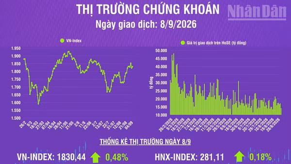 [Infographic] Chứng khoán ngày 8/9: VN-Index tăng 8,8 điểm, khối lượng giao dịch khớp lệnh giảm 19,7% so phiên trước