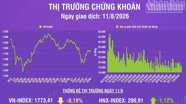 [Infographic] Chứng khoán ngày 11/8: VN-Index giảm nhẹ hơn 3 điểm, thanh khoản thị trường giảm