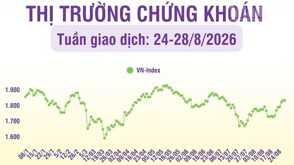 [Infographic] Chứng khoán tuần 24-28/8: VN-Index tăng 3,6% so tuần trước, khối lượng giao dịch tăng 27,4%