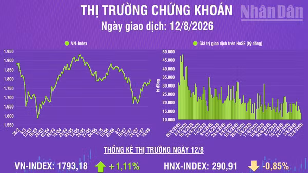 [Infographic] Chứng khoán ngày 12/8: VN-Index tăng gần 20 điểm, khối ngoại mua ròng 314,4 tỷ đồng trên HoSE