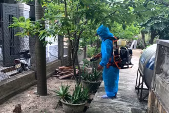 Sở Y tế khuyến cáo không chủ quan, không giấu dịch và không để xảy ra tình trạng lây lan từ những thói quen thiếu an toàn trong tiêu dùng.