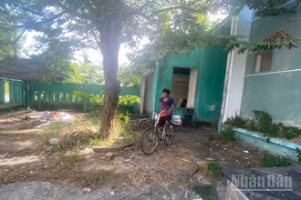 Do không sớm triển khai phương án bảo vệ, khu nhà trụ sở được giao cho Viện quy hoạch xây dựng đã bị kẻ gian phá hoại, lấy cắp nhiều tài sản.