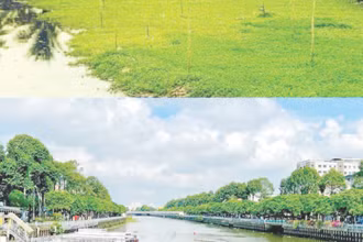 Hình ảnh kênh Nhiêu Lộc-Thị Nghè trước và sau cải tạo. (Ảnh TRUNG ANH)