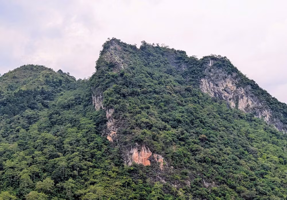quy-tap-1.jpg