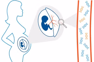 Cập nhật nhiều kiến thức mới trong tư vấn di truyền sinh sản