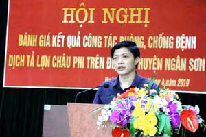 Lãnh đạo huyện Ngân Sơn công bố hết dịch tả lợn châu Phi trên địa bàn.