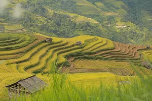 Ảnh: NAM NGUYỄN
