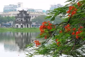 Gallery - Góc cuối tuần - image 10