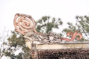 Ðất lành chung đúc