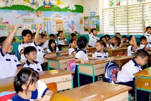 Nhiều chuyên gia cho rằng không nên tổ chức lớp chọn ở cấp Tiểu học và THCS, nhưng có thể tổ chức lớp chuyên ở cấp THPT.