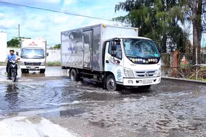 Các phương tiện đường bộ lưu thông vào Cà Mau phải qua các hố khử trùng đặt tại các trạm kiểm dịch. (ẢNH: HỮU TÙNG)