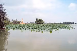 Thanh khiết Loa Hồ