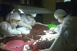 Gallery - TPP, cơ hội và thách thức - image 15