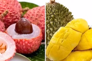 Gallery - Uống rượu bia không lái xe - image 11