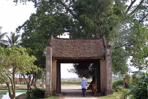Gallery - Góc cuối tuần - image 20