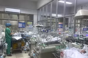 Sàng lọc sơ sinh ngày càng được chú trọng. 