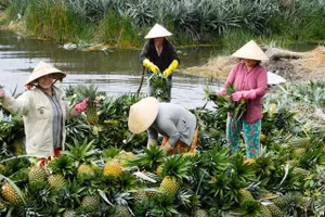 Gallery - TPP, cơ hội và thách thức - image 19