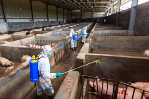 Triển khai công tác phòng dịch tại tỉnh Chiết Giang, Trung Quốc.