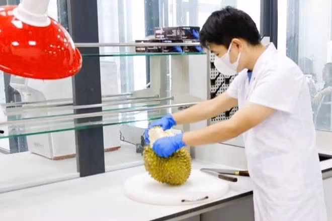 Phòng thử nghiệm của Trung tâm giám định thử nghiệm Tân Đại Dương được công nhận năng lực phân tích Cadimi và Vàng O kiềm.
