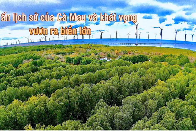 Cánh đồng điện gió ven Biển Đông, khu vực thuộc phường Hiệp Thành, tỉnh Cà Mau.