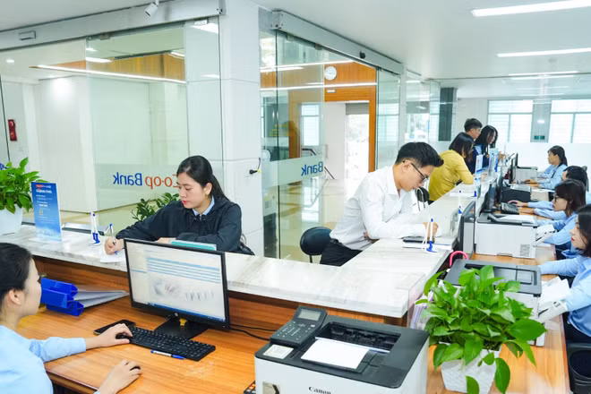 Giao dịch khách hàng tại Ngân hàng Hợp tác xã Chi nhánh Hà Nam, tỉnh Ninh Bình. (Ảnh: HOÀNG GIÁP)