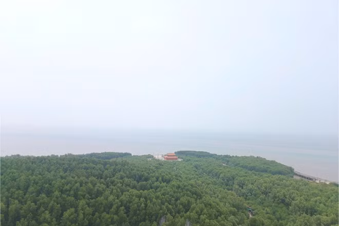 Màu xanh trên đất mũi Cà Mau.