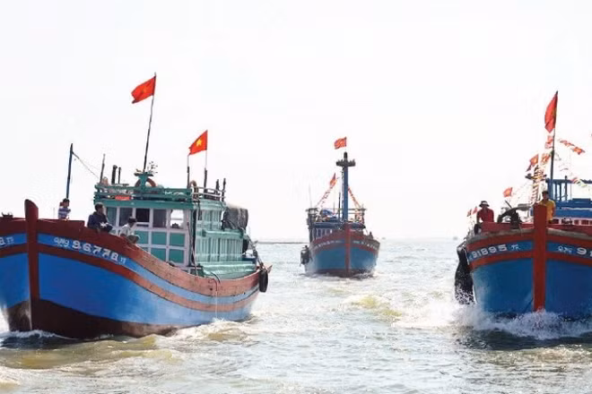 Đội tàu cá của ngư dân Quảng Ngãi. (Ảnh: TRẦN MAI)