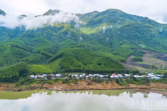 BIODEV2030 từng bước đưa bảo tồn đa dạng sinh học trở thành động lực thúc đẩy chuyển đổi sản xuất trong lâm nghiệp và thủy sản.