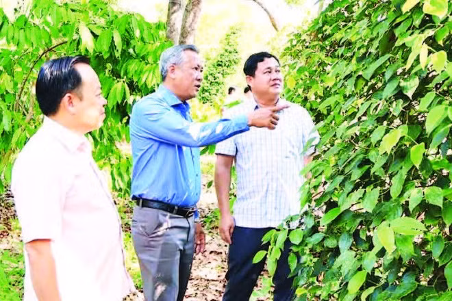 Lãnh đạo xã biên giới Đắk Ơ, thành phố Đồng Nai xuống cơ sở khảo sát tình hình sản xuất nông nghiệp.