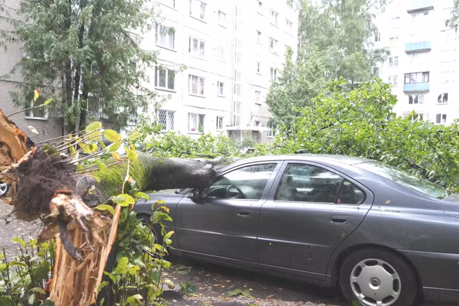 Bão quét qua Riga, Latvia. (Ảnh: TÂN HOA XÃ)