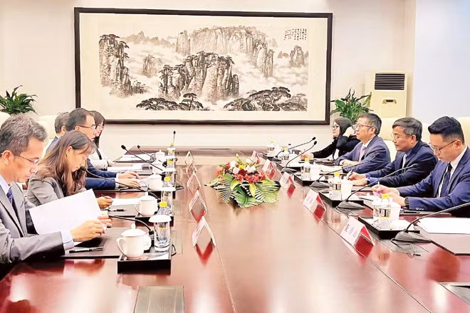 Các quan chức ngoại giao Việt Nam và Trung Quốc làm việc tại Bắc Kinh. (Ảnh: Đại sứ quán Việt Nam tại Trung Quốc)