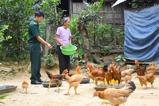 Nhiều mô hình giúp đồng bào dân tộc thiểu số Nghệ An thoát nghèo bền vững.