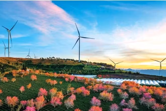 Lê Hoàng Mến (Việt Nam) Du lịch xanh - Green tourism.
