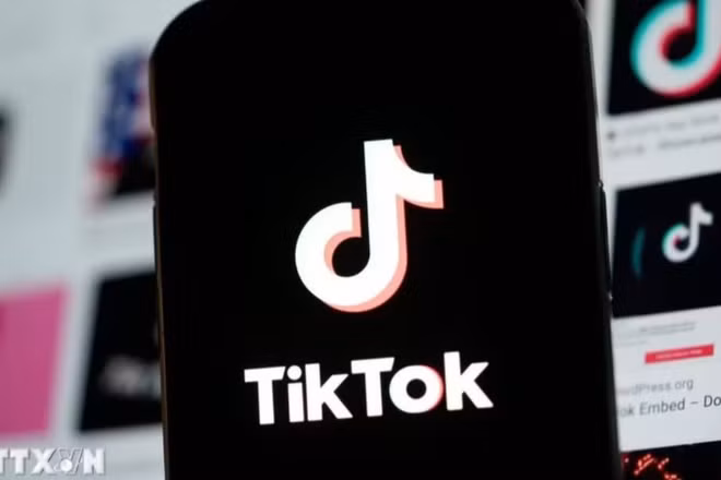 Biểu tượng TikTok trên màn hình điện thoại. (Ảnh: THX/TTXVN) 