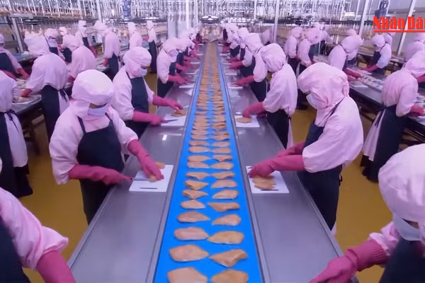 [Video] Tăng hỗ trợ doanh nghiệp nâng cao năng suất, chất lượng sản phẩm 