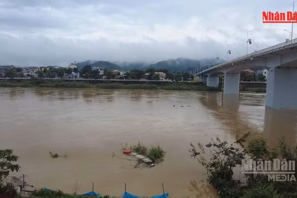 [Video] Cảnh báo lũ trên các sông khu vực Bắc Bộ và từ Thanh Hóa đến Quảng Trị
