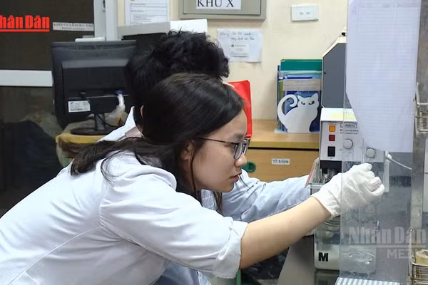 [Video] Đạo văn hoặc làm giả dữ liệu có thể bị cấm nghiên cứu khoa học vô thời hạn