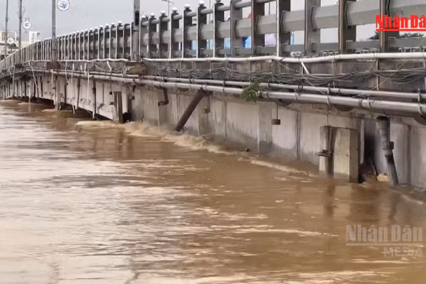 [Video] Rà soát kiểm tra các cầu yếu và công trình vượt sông có nguy cơ bị sạt lở, hư hỏng do mưa lũ