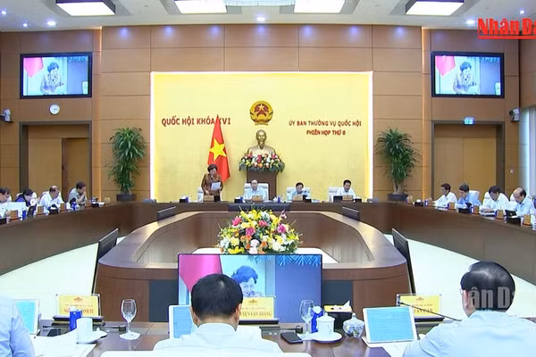 [Video] Đề nghị rà soát kỹ việc miễn thuế cho đơn vị cung cấp suất ăn trường học, bệnh viện
