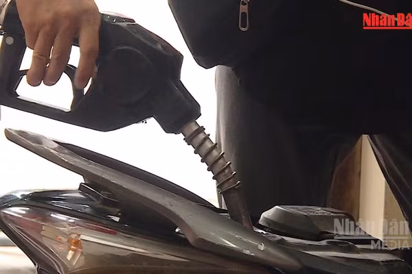 [Video] Chính phủ kéo dài thời hạn áp dụng loạt sắc thuế ưu đãi đối với xăng dầu đến hết năm
