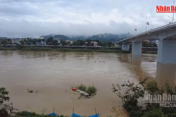 [Video] Khẩn trương triển khai phương án ứng phó lũ trên các tuyến sông