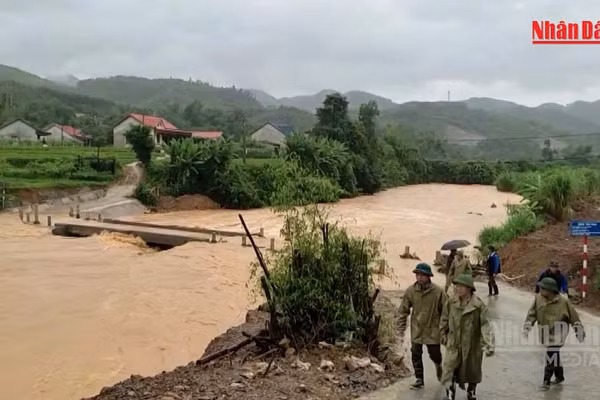 [Video] Bão số 4 và mưa lũ gây nhiều thiệt hại nghiêm trọng tại các địa phương